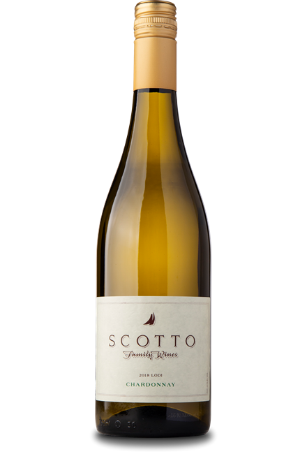 Scotto Chardonnay