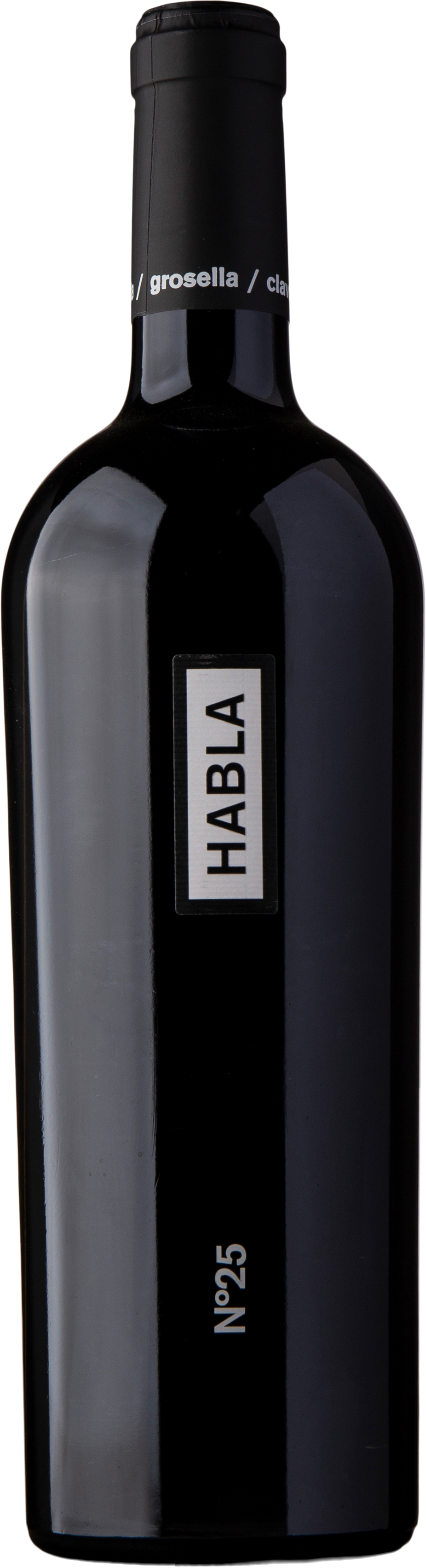 2019 Habla No 25