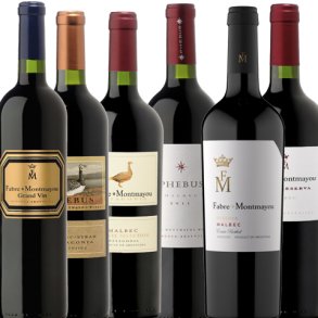 Smagekasse med Argentinsk Vin fra Fabre Montmayou