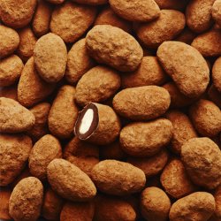 Summerbird mandler - Pralin Cocoa