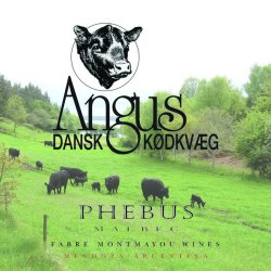 2023 Phebus Malbec med logo etiket (74,000 kr. ex. moms)