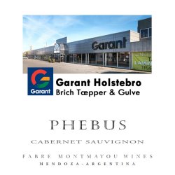 2023 Phebus Cabernet Sauvignon med logoetiket (74,00 kr. ex. moms) 