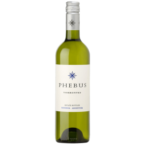 2024 Phebus Torrontes