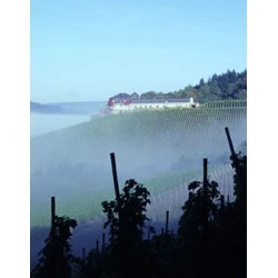 2018 Schloss Saarsteiner Riesling Kabinett, VDP. GROSSE LAGE.