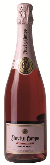 Juvé y Camps Brut Rosé, Pinot Noir