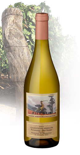 2023 Phebus Patagonia Chardonnay/Semillon