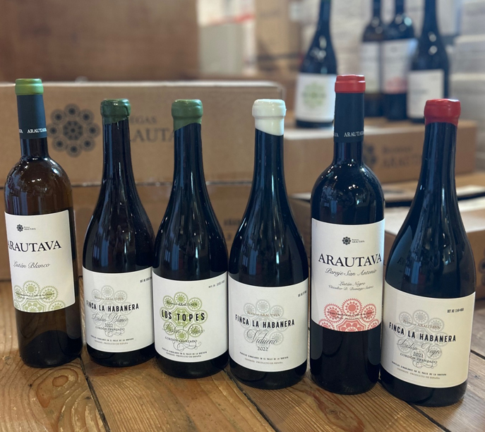 Smagekasse med 6 flasker vin fra Bodegas Arautava fra Tenerife.